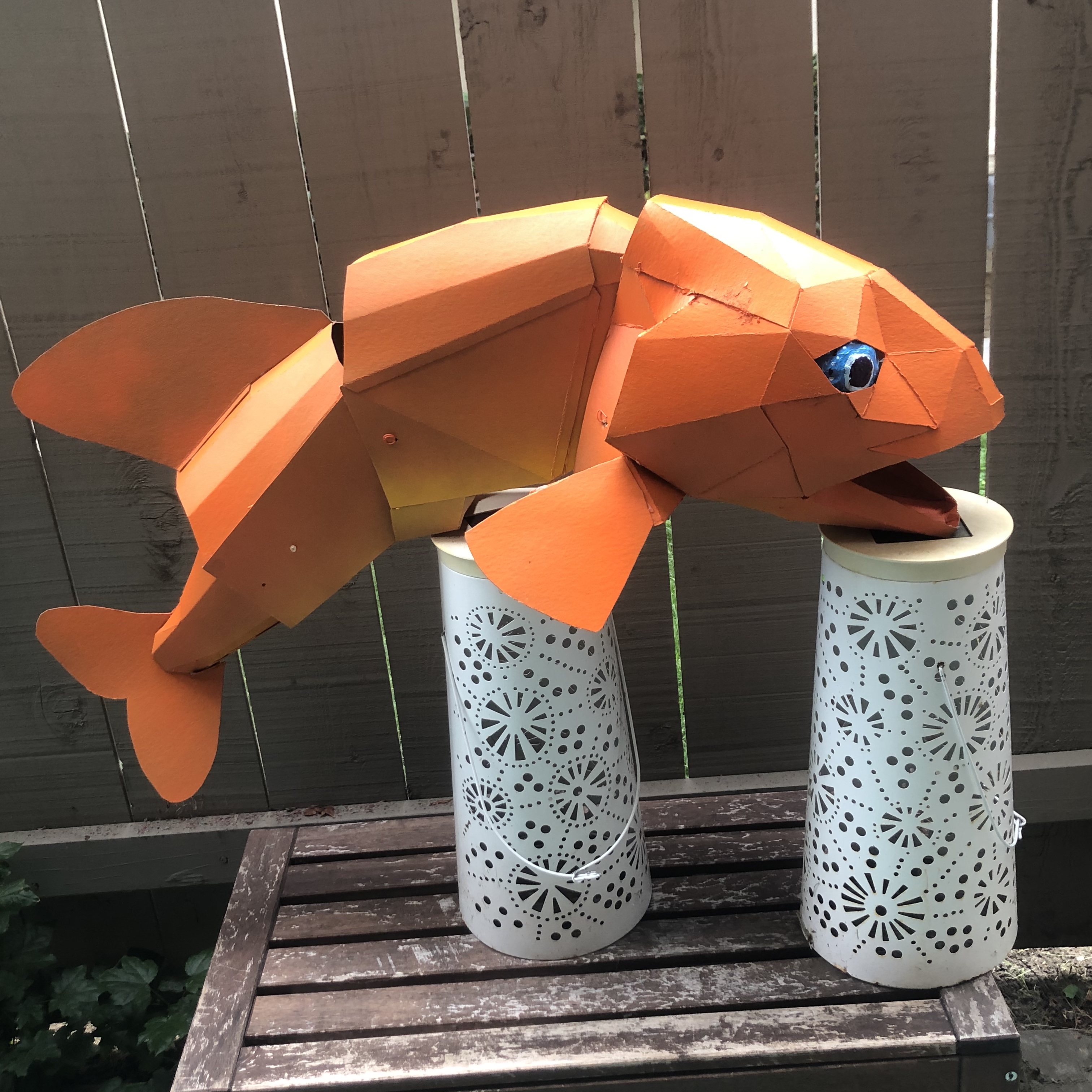 orange_fish